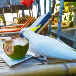 RESTAURANT AT Oriental Beach Village Phuket